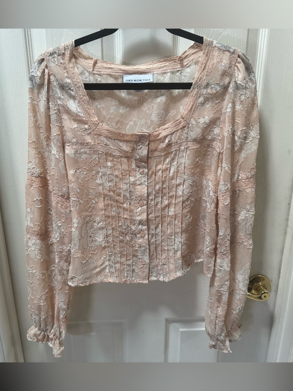 Blush Lace Button-Front Peasant Top